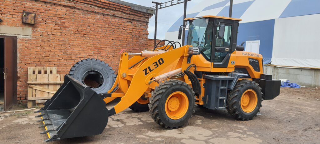 zl30 вид19